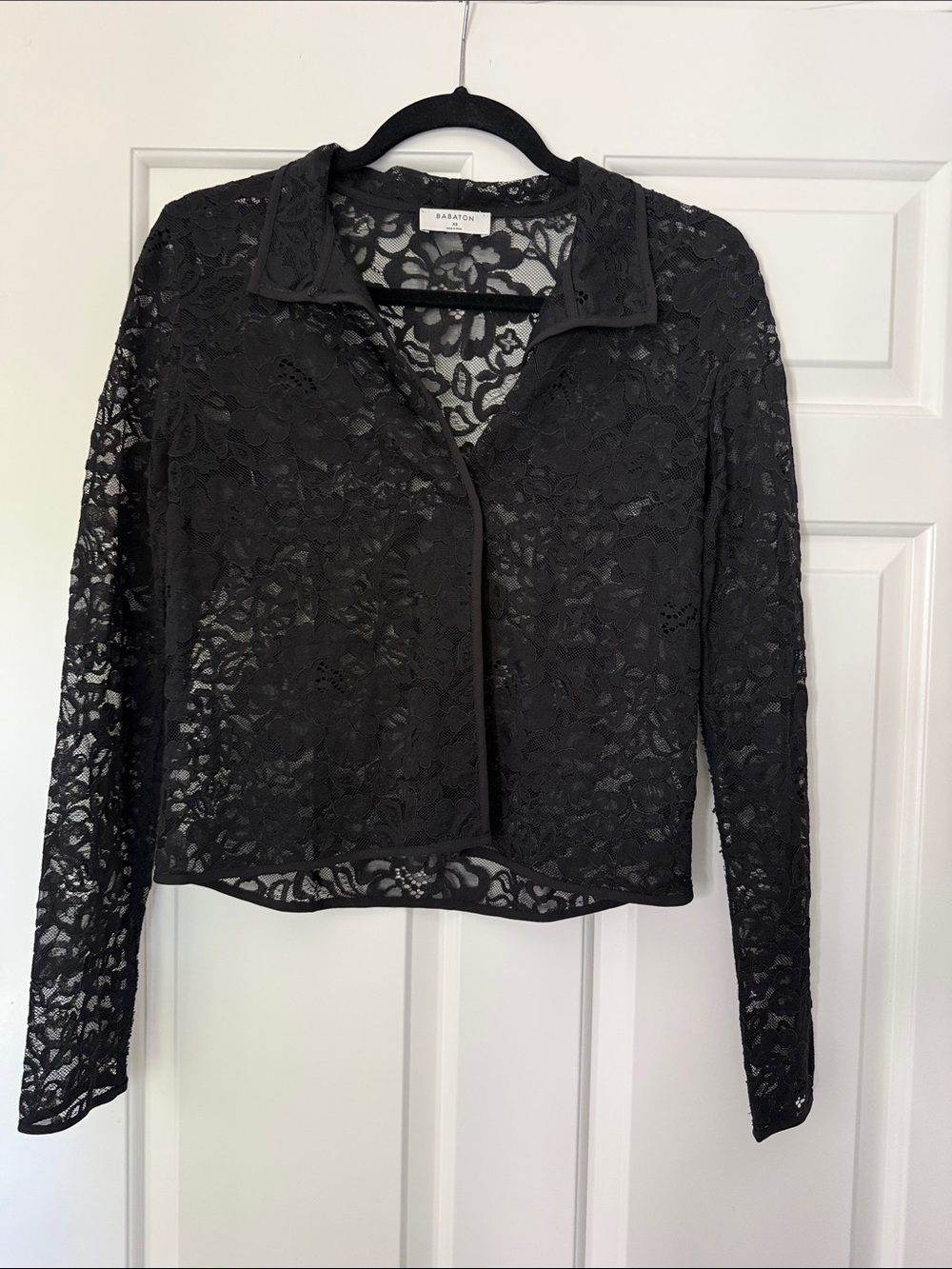 Babaton Black Sheer Floral Lace Blouse